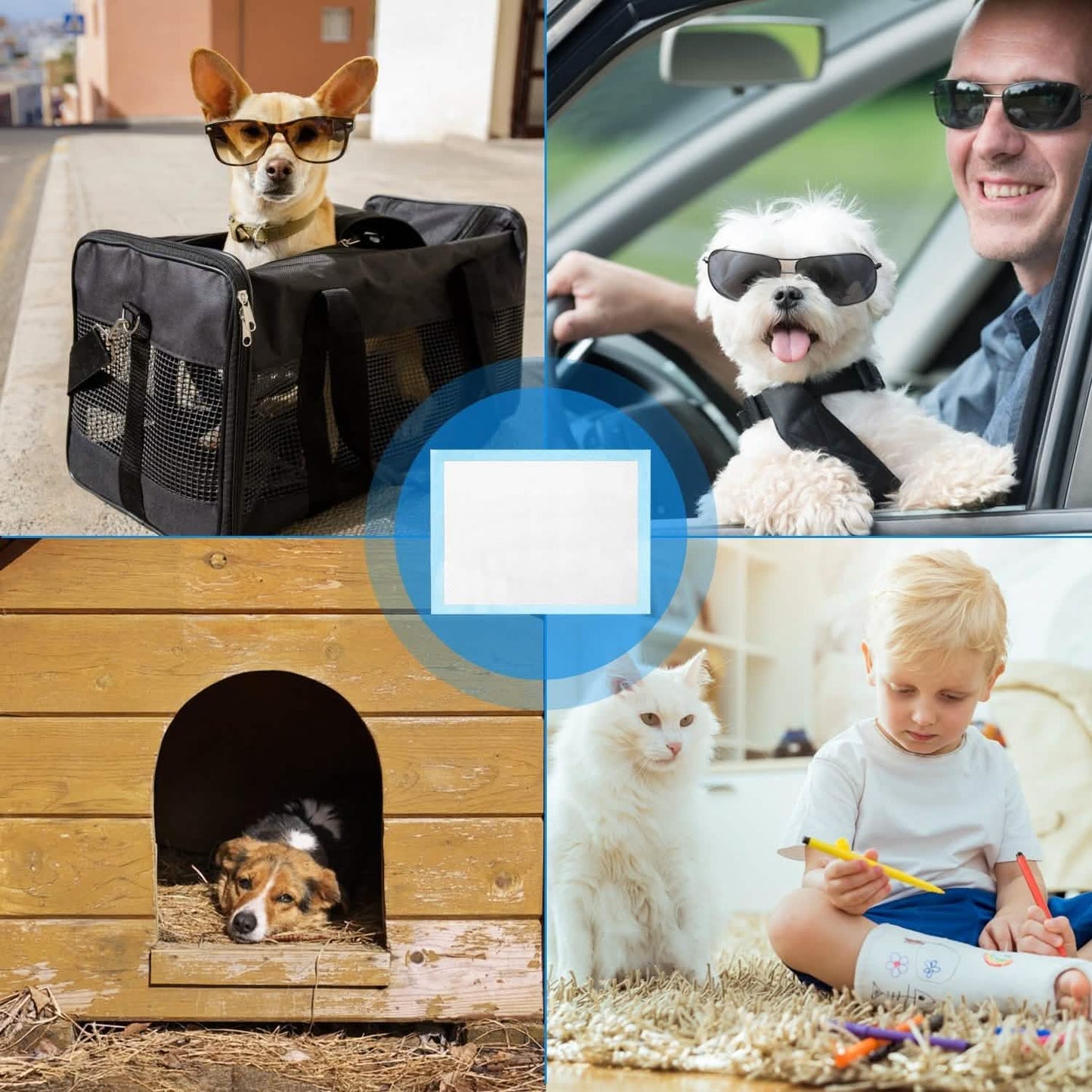 50 Stück: Hundetrainingsunterlagen
