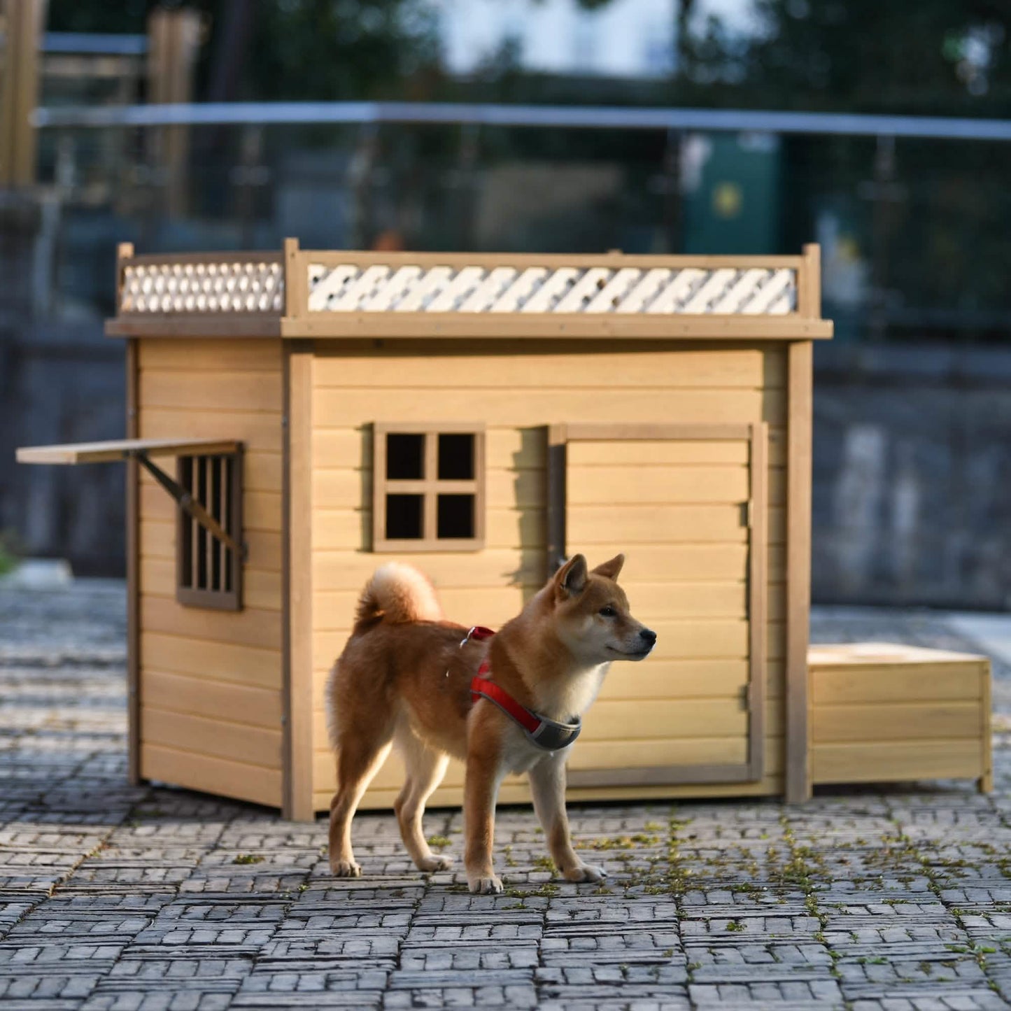 Aukfa 39,4 Zoll hölzerne Hundehütte Welpenunterstand Zwinger Außen- & Innenhundebox
