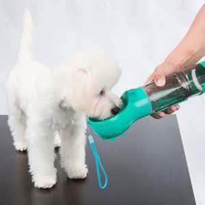 Hunde-Wasserflasche, tragbar, auslaufsicher, zum Wandern, Klettern, Reisen