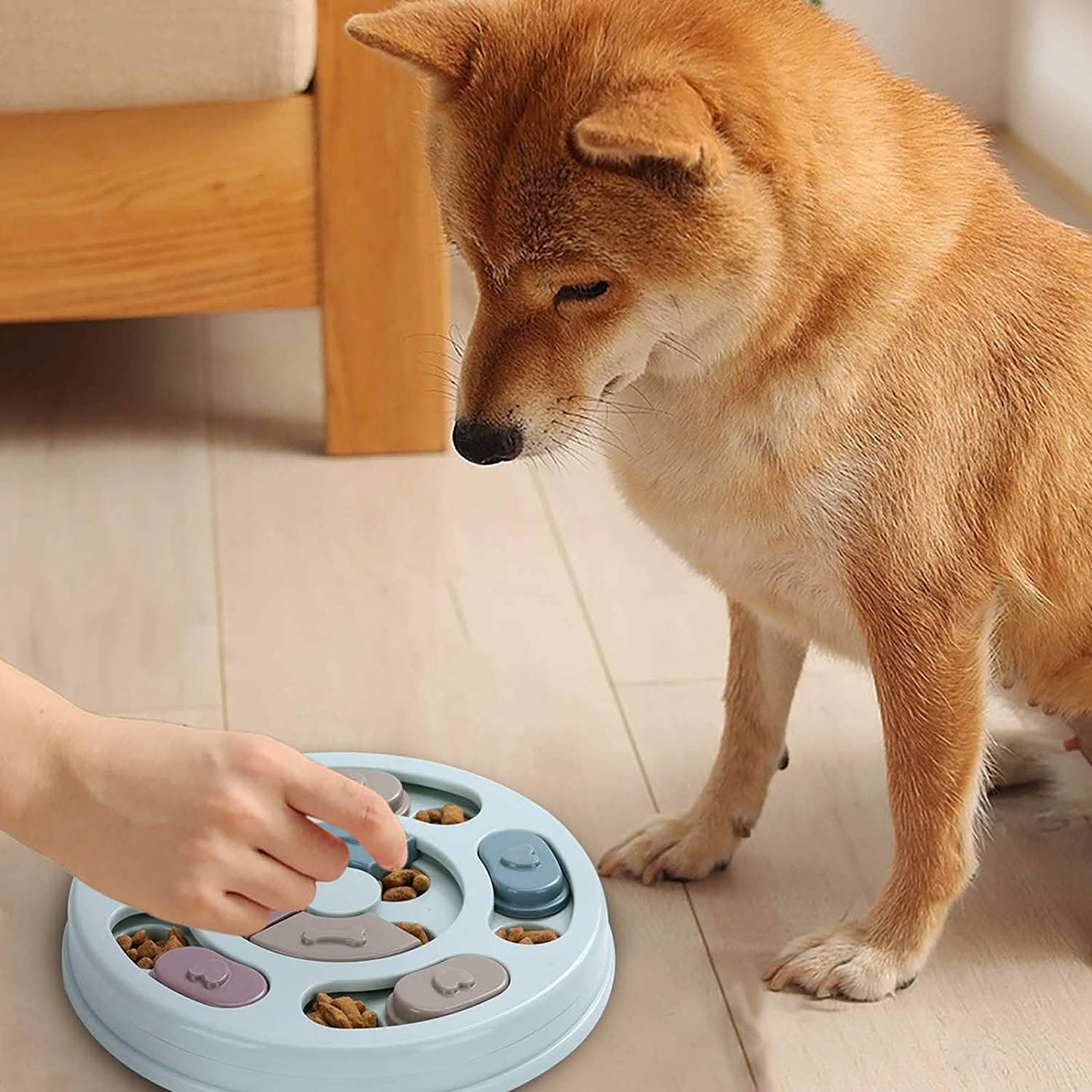 Hundefutter-Intelligenzspielzeug für IQ-Training und mentale Bereicherung