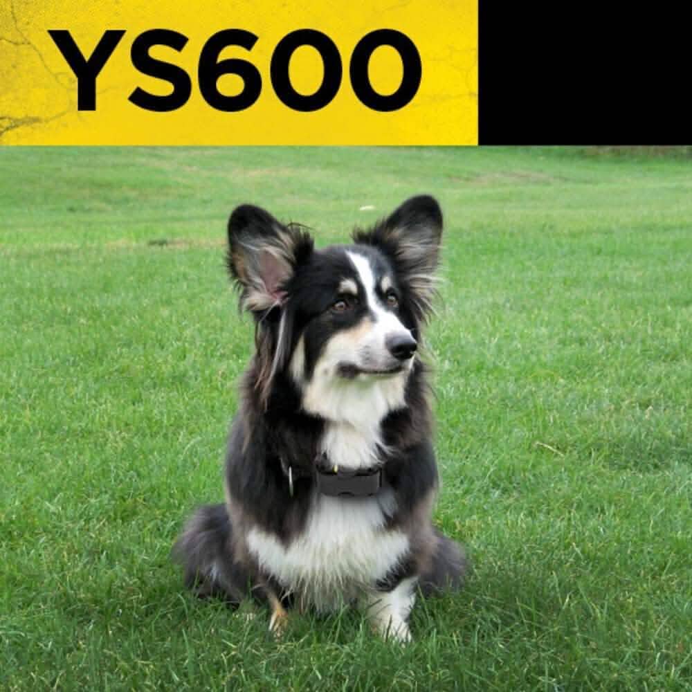 Dogtra YS600 No Bark Collar (Refurbished)