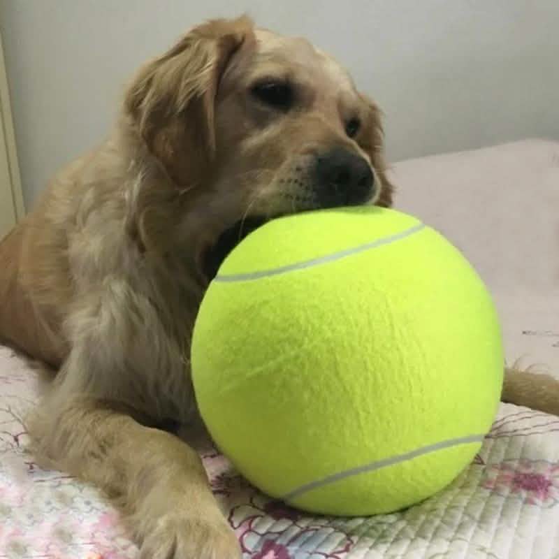 Jumbo-Tennisball für Autogramme, Hunde und Kinder