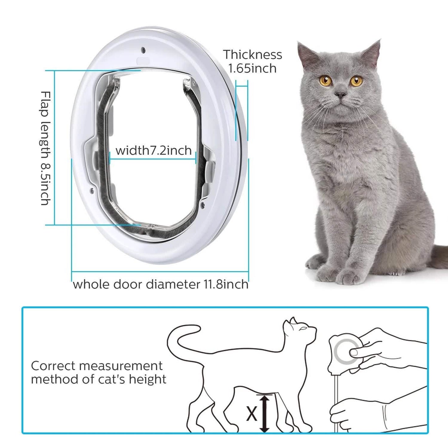 Leichte Haustierklappe Katzen Kleine Hunde Insektenschutz Leises Magnetverschluss Tor