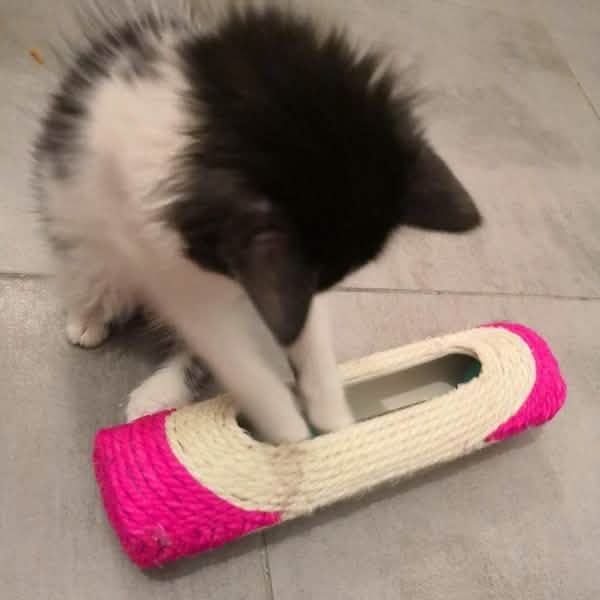 Katze Rolling Sisal Kratzbaum Trapped mit 3 Bällen Trainings-Neuheit-Spielzeug