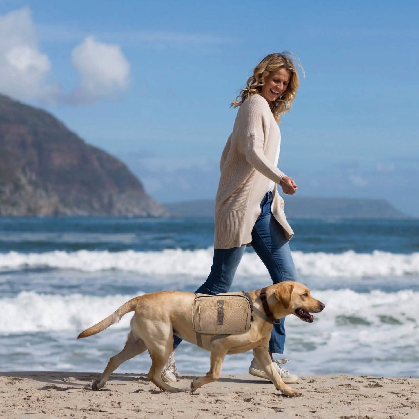 Hunde-Rucksack Wanderrucksack Campingtasche Satteltasche
