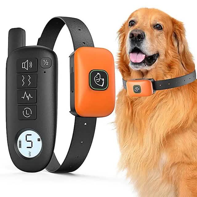 Hundehalsband mit Fernbedienung