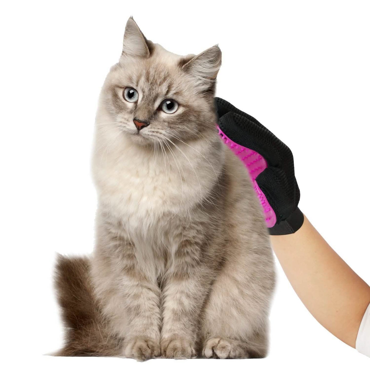 Tierpflegehandschuh