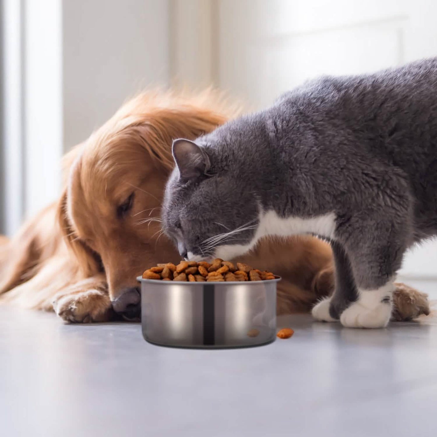 Edelstahlnapf für Hunde und Haustiere