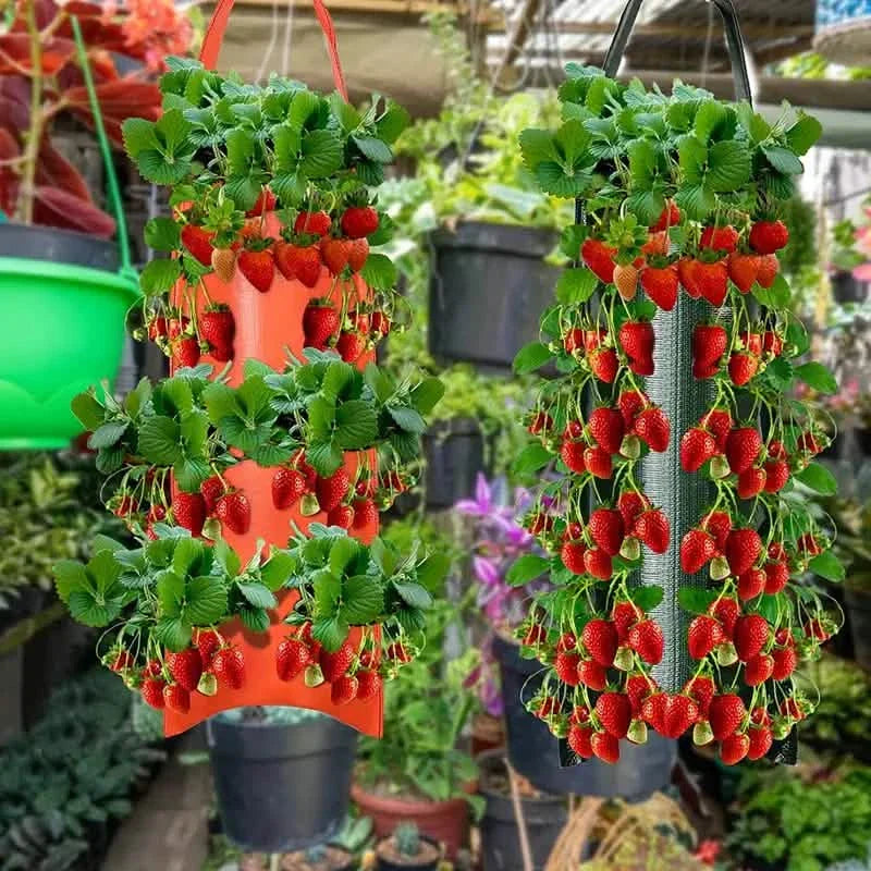 Pflanzsack für Tomaten (kopfüber)