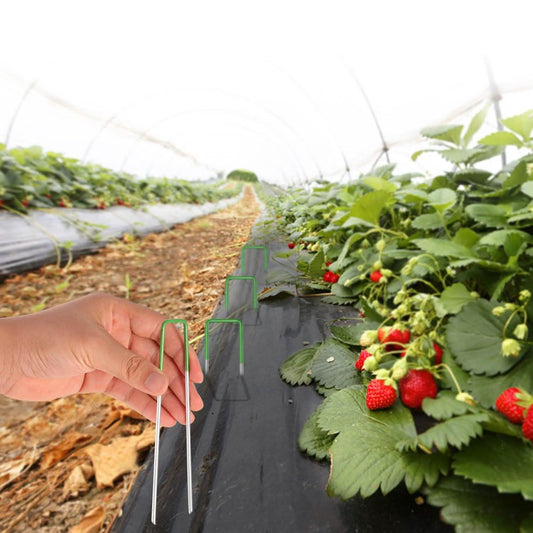 10er-Pack: 15,2 cm U-förmige Garten-Erdanker, rostbeständig