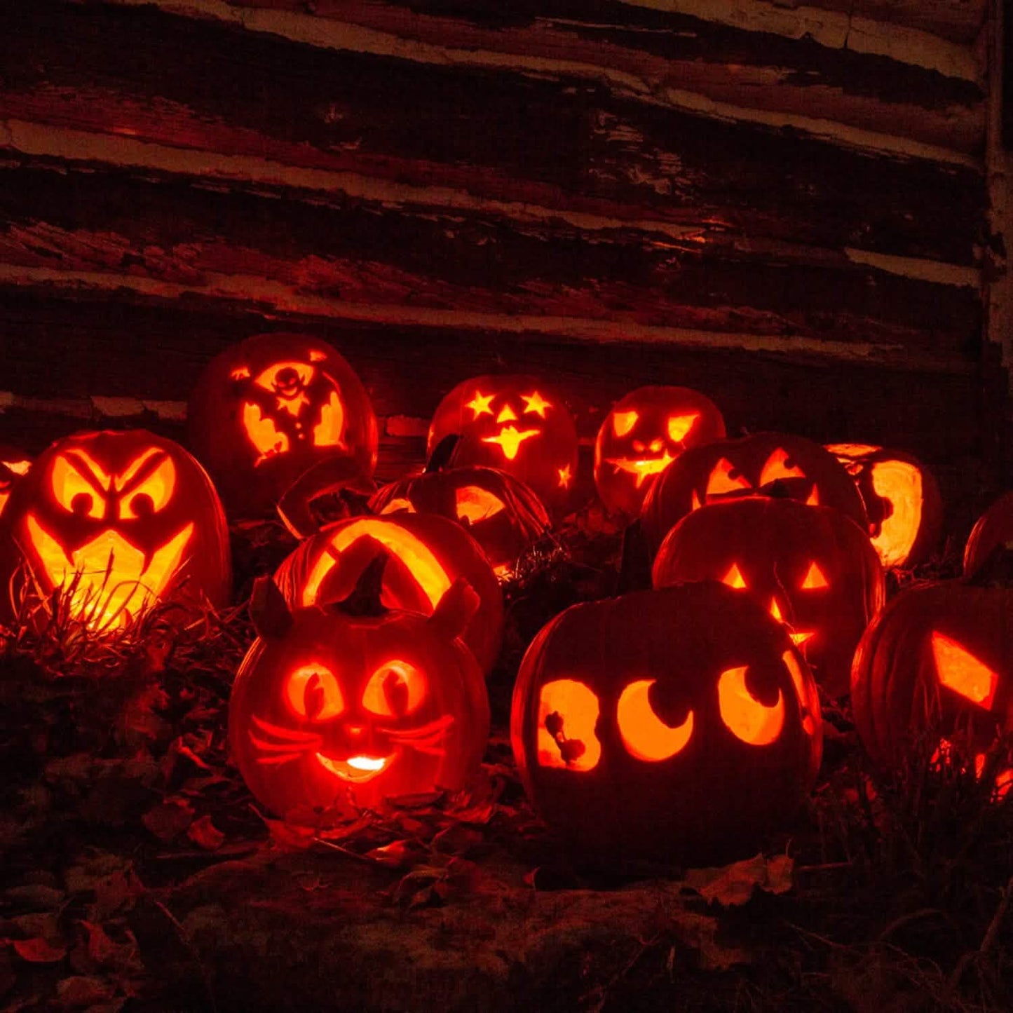 13-teilig: Halloween Kürbis Schnitzset aus Edelstahl