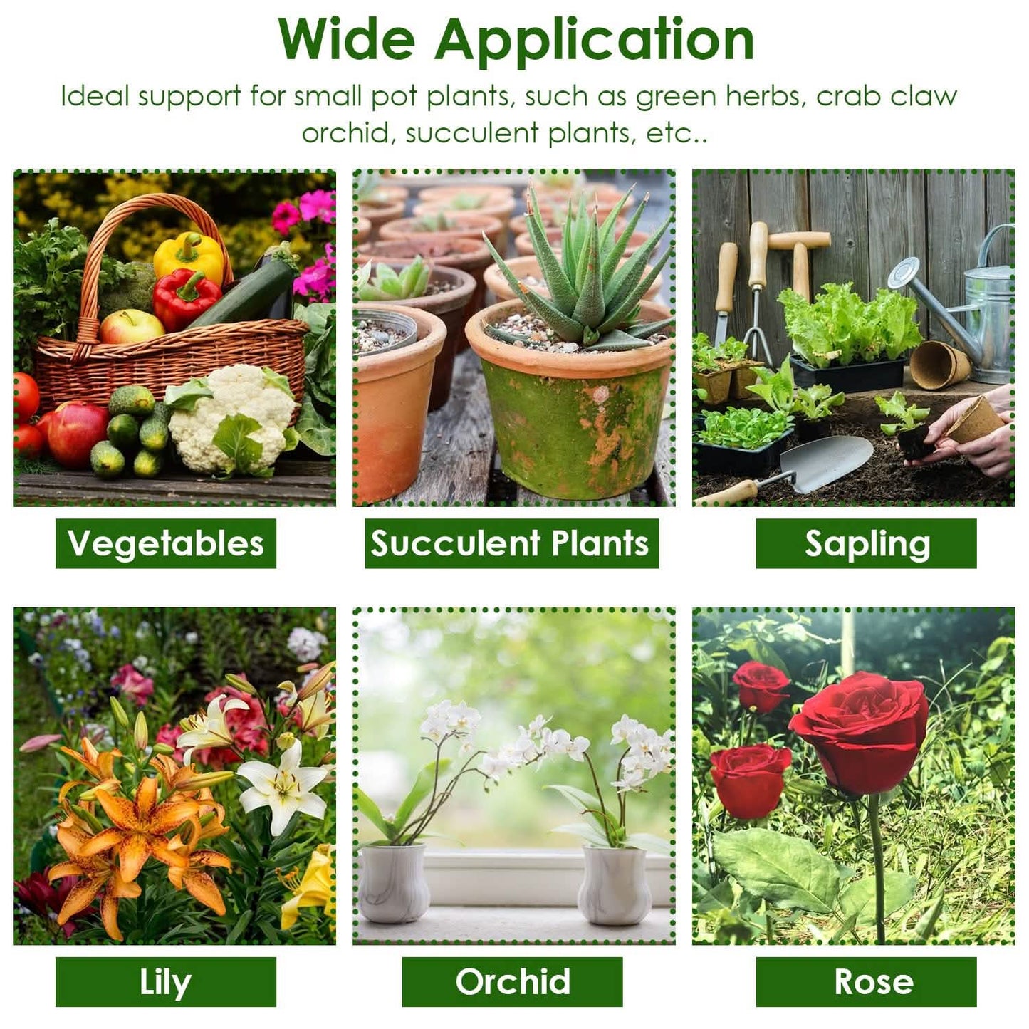 15-teiliges Set: Garten-Pflanzenstützen