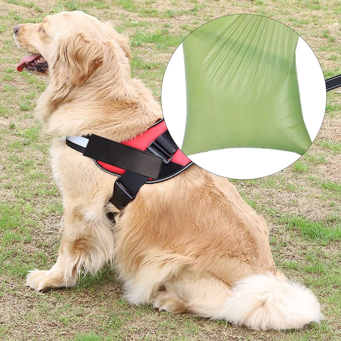 2er-Pack: Hundekotbeutelspender mit integrierter LED-Taschenlampe