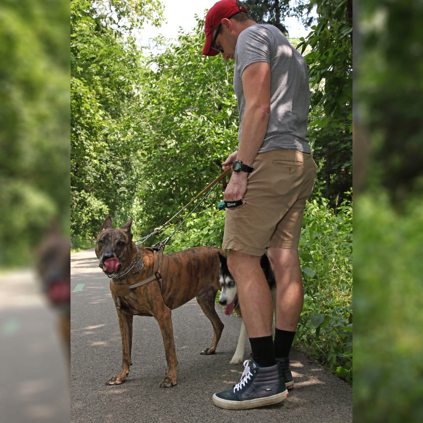 Hunderepellent-Pfefferspray zur Maulkorbabwehr