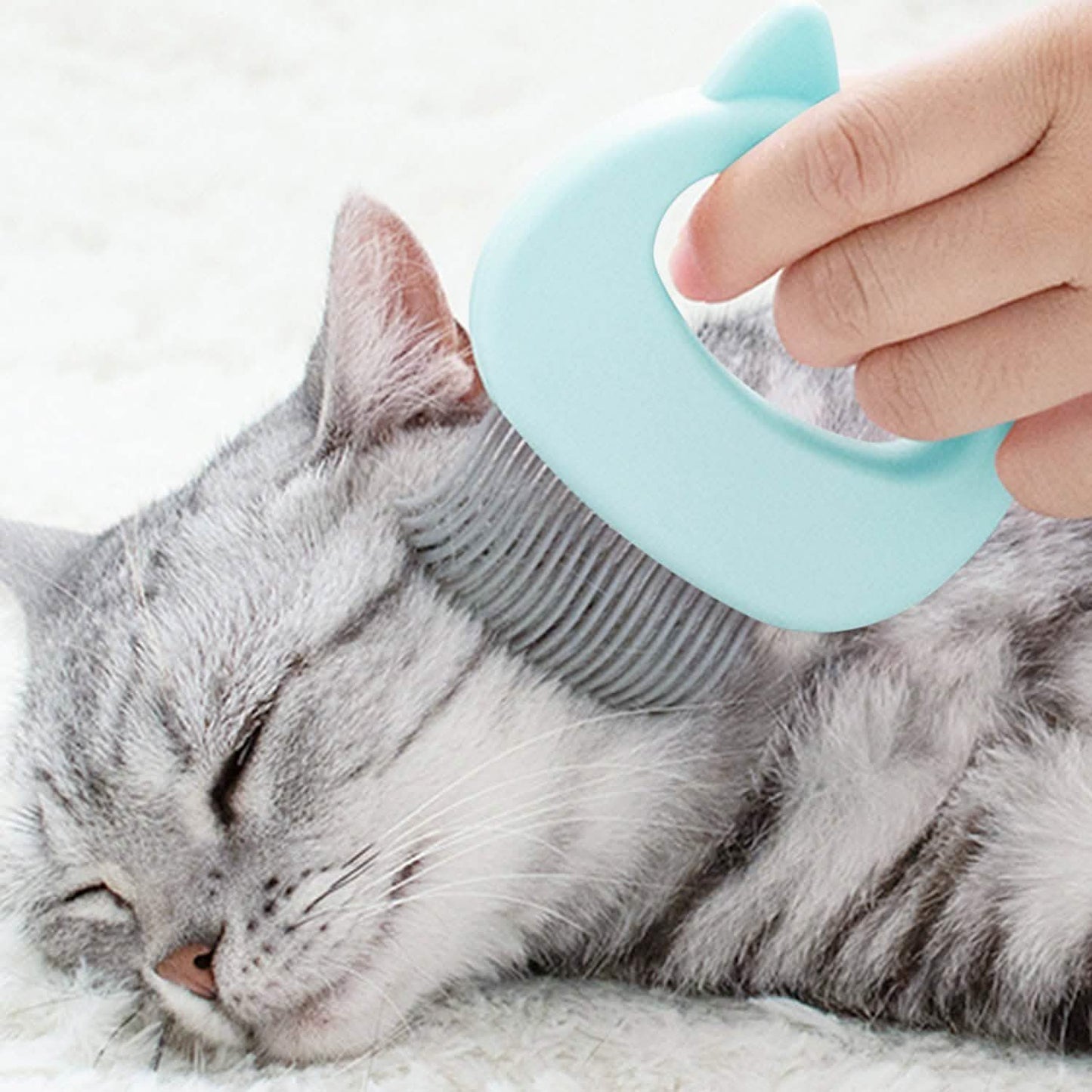 2er-Pack: Fellpflege- und Massagebürste für Haustiere zum Entfernen von Tierhaaren und zum Entfilzen