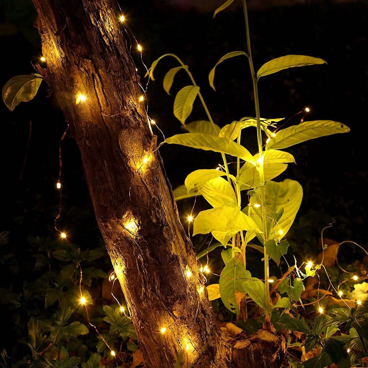 2er-Pack: 100-LED-Lichterkette