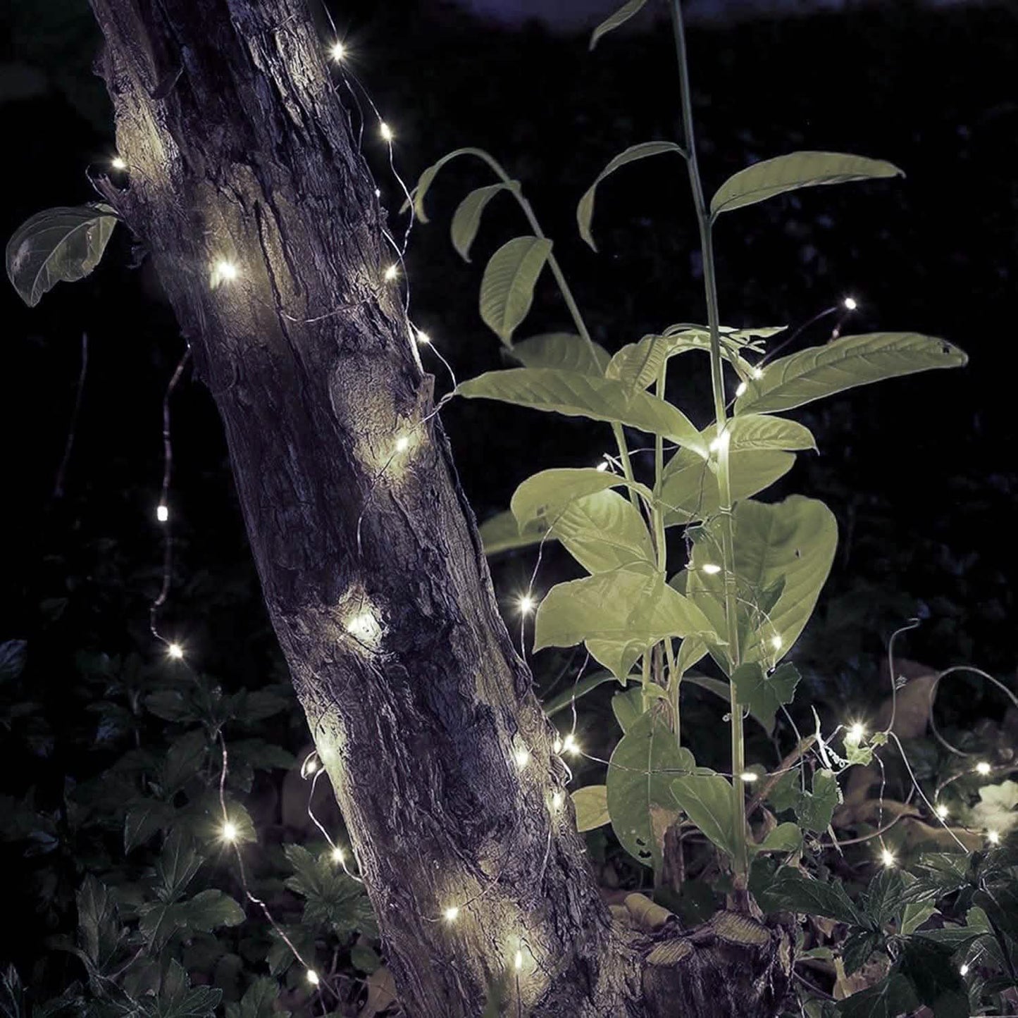 2er-Pack: 100-LED-Lichterkette