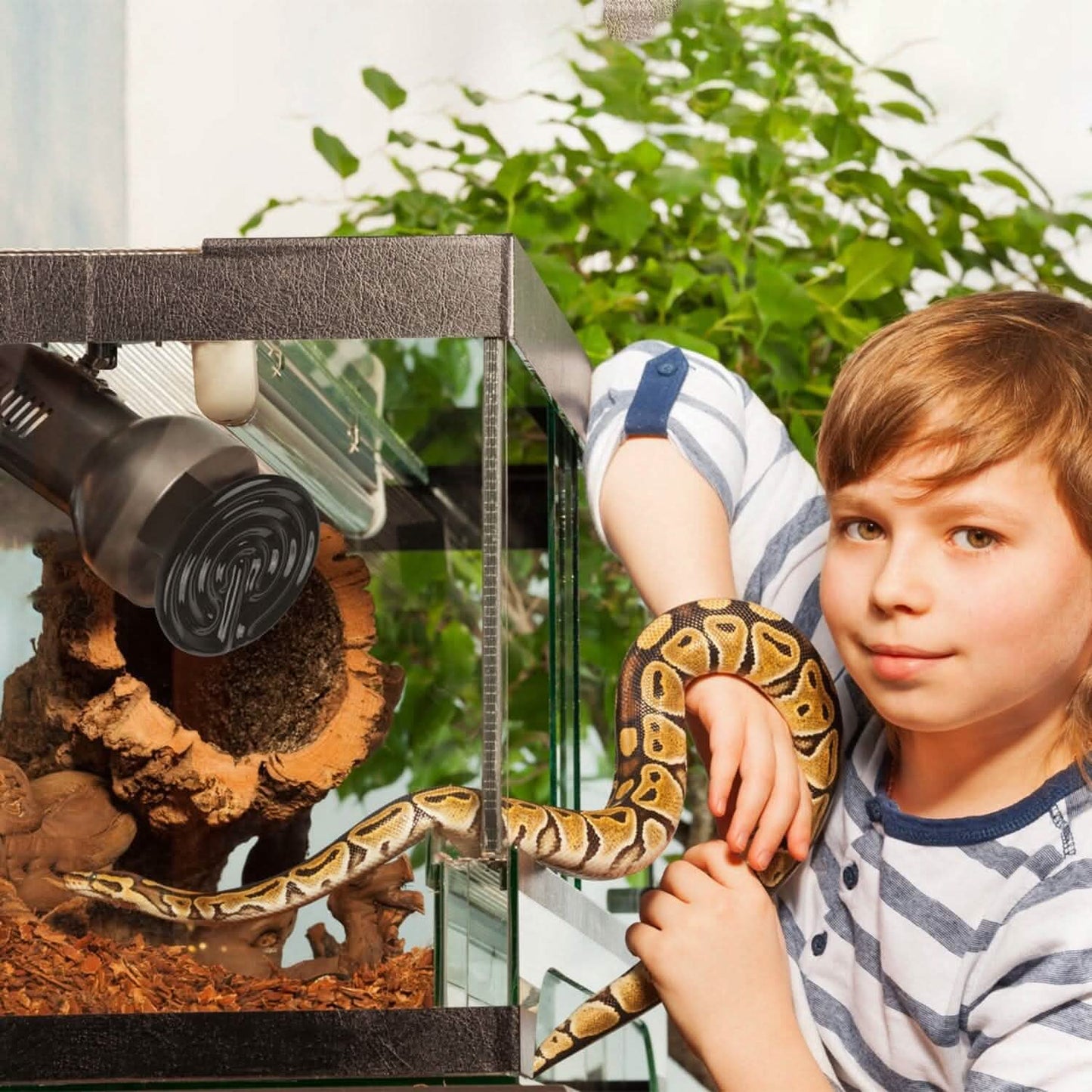 2 Stück: 150W Infrarot Reptilien Wärmelampe Ohne Lichtemission