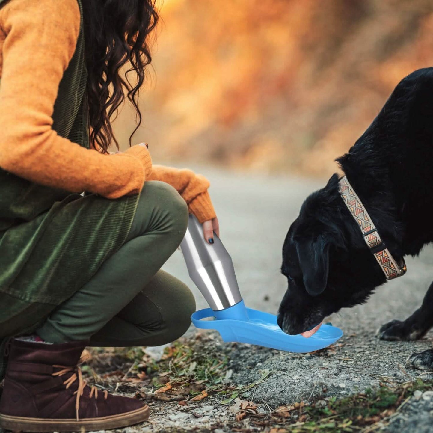 25oz Tragbarer Hunde-Wasserspender aus Edelstahl, auslaufsicheres Design