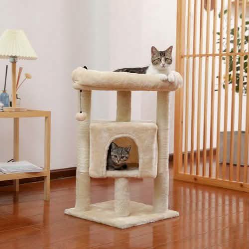 28,4" Kratzbaum für Indoor-Katzen