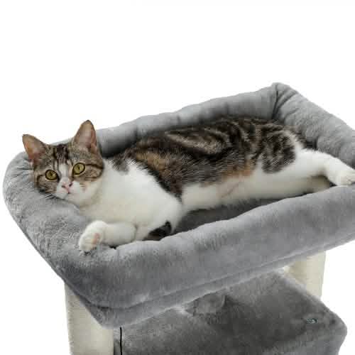 28,4" Kratzbaum für Indoor-Katzen