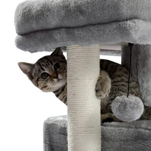28,4" Kratzbaum für Indoor-Katzen