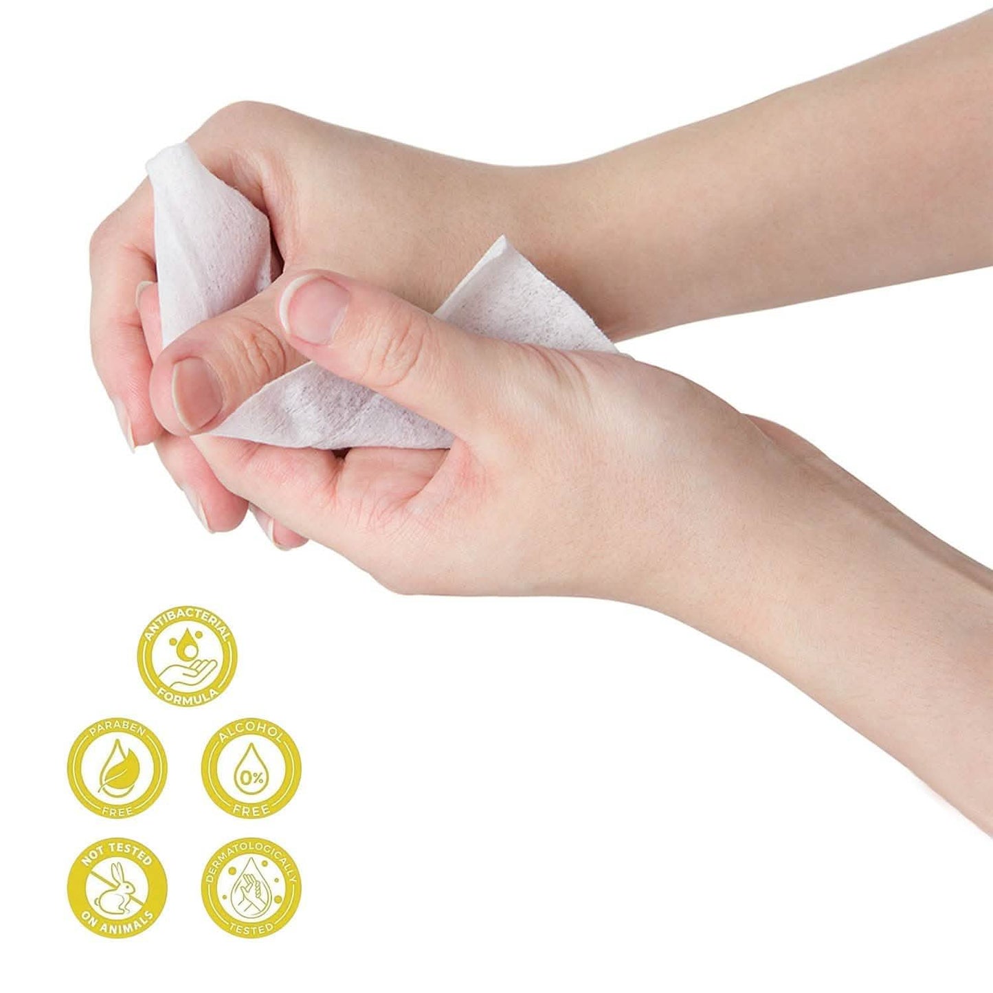 3er-Pack Fresh N Clean Antibakterielle Tücher