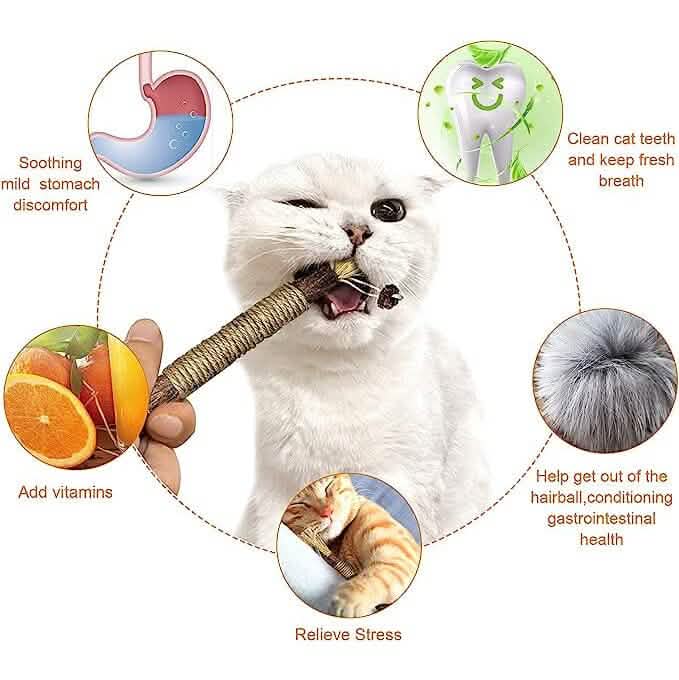 3er-Pack: Silvervine-Sticks Katzenspielzeug