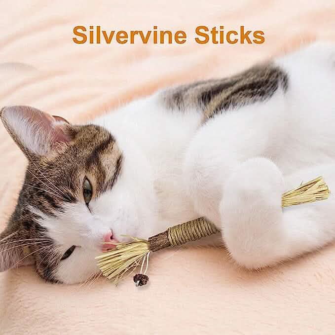 3er-Pack: Silvervine-Sticks Katzenspielzeug