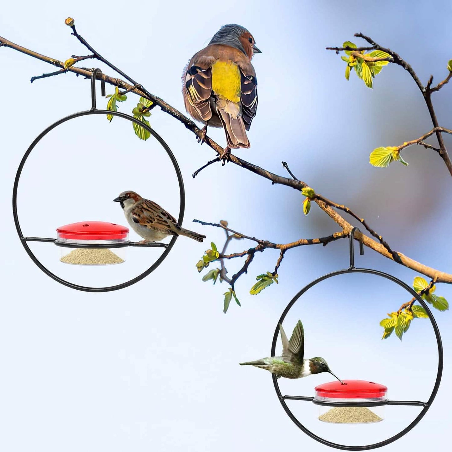 3-teilig: Stapelbares hängendes Kolibri-Futterhaus mit Metallrahmen und roter Kunststoffschale