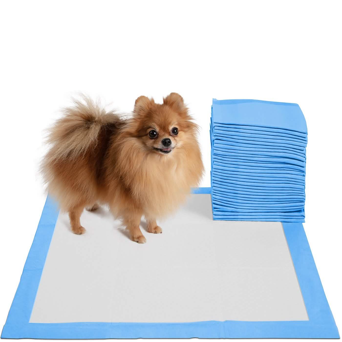 30er-Pack: Paws & Pals Welpen-Urinalmatten für das Toilettentraining, auslaufsicher