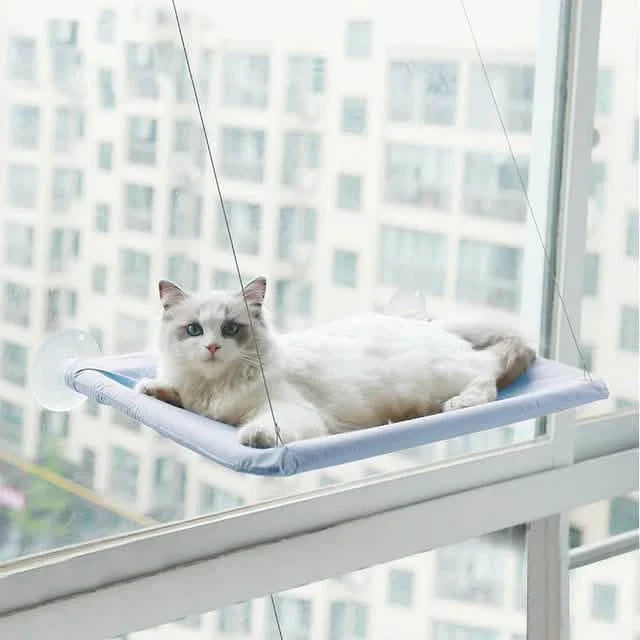 360° Katzenfensterhängematte: Ein platzsparendes Sonnenbad für Hauskatzen!