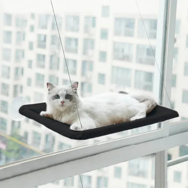 360° Katzenfensterhängematte: Ein platzsparendes Sonnenbad für Hauskatzen!