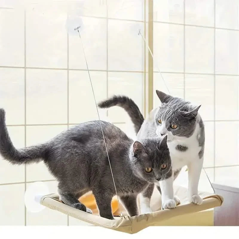 360° Katzenfensterhängematte: Ein platzsparendes Sonnenbad für Hauskatzen!