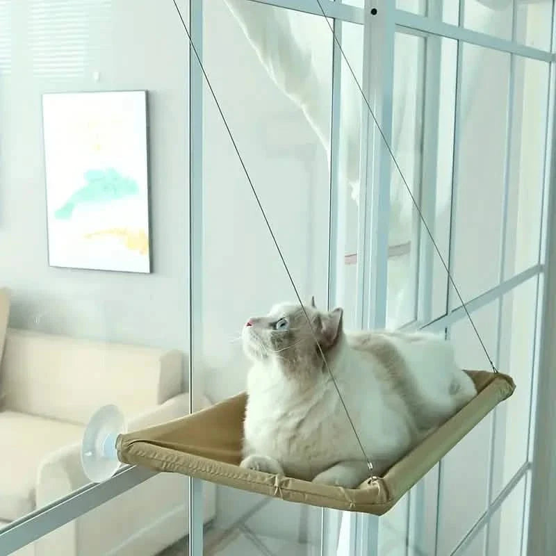 360° Katzenfensterhängematte: Ein platzsparendes Sonnenbad für Hauskatzen!