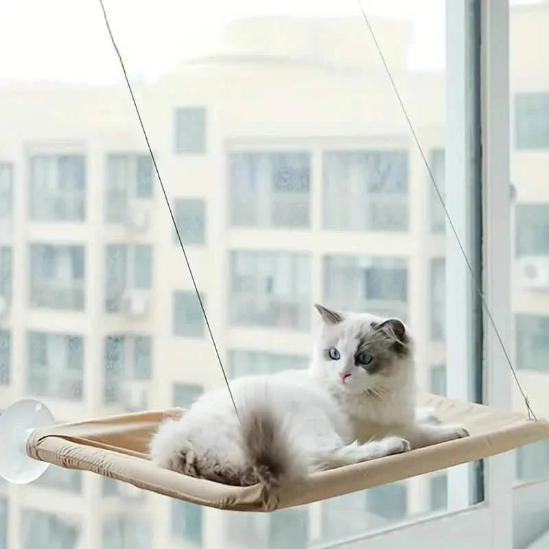 360° Katzenfensterhängematte: Ein platzsparendes Sonnenbad für Hauskatzen!