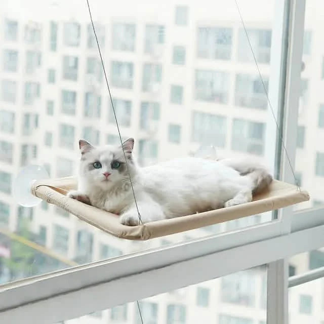 360° Katzenfensterhängematte: Ein platzsparendes Sonnenbad für Hauskatzen!