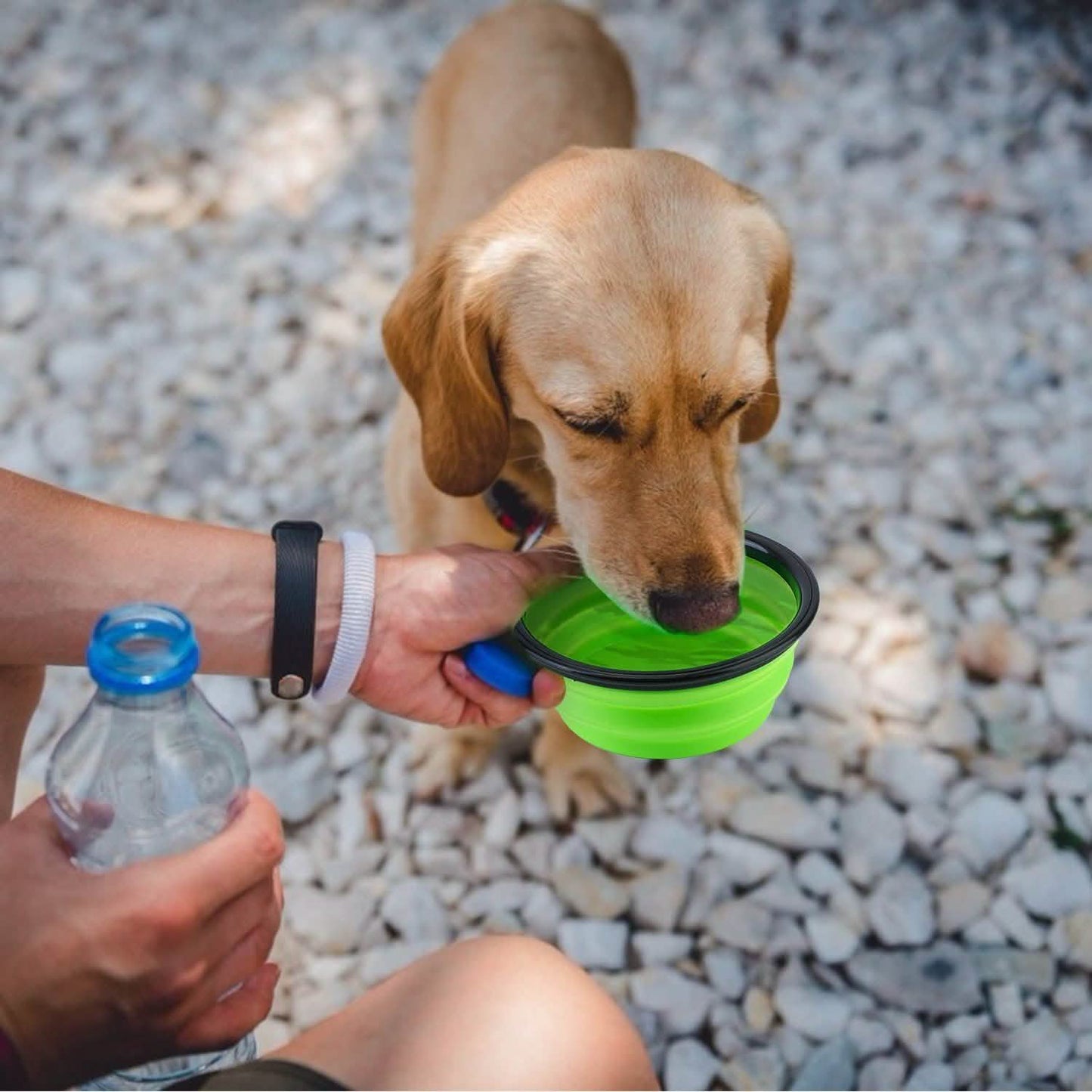 4er-Pack: Zusammenklappbarer Futter-/Wassernapf aus Silikon für Hunde oder Katzen