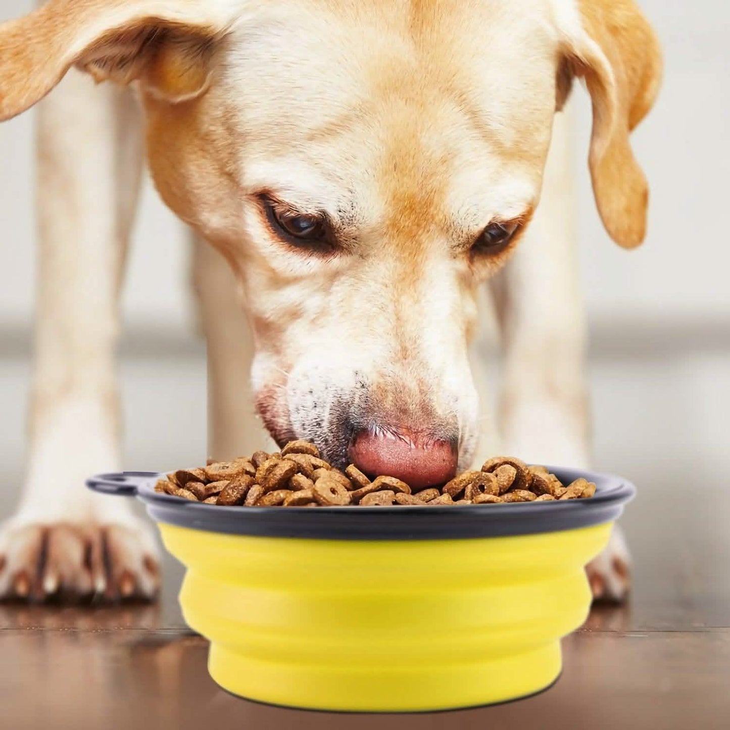 4er-Pack: Zusammenklappbarer Futter-/Wassernapf aus Silikon für Hunde oder Katzen