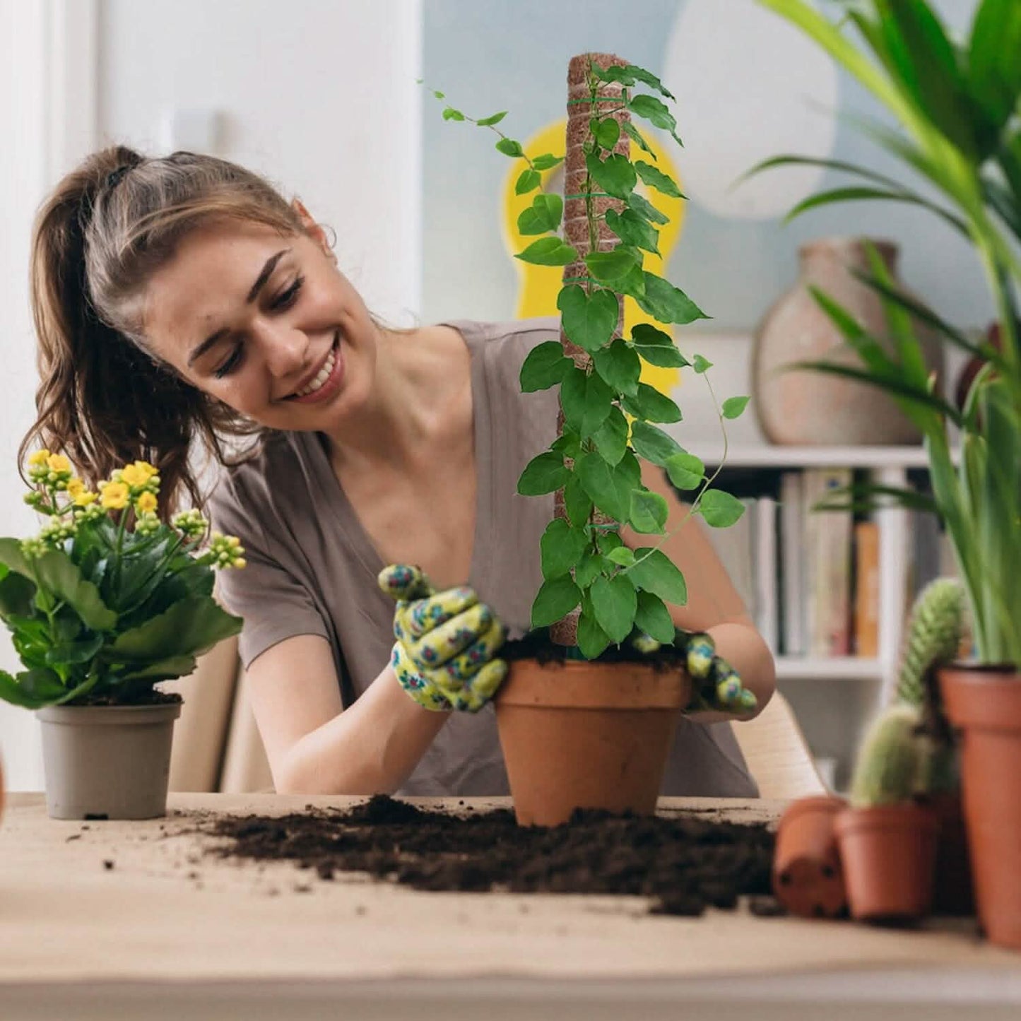 4er-Set: Coco Coir ausziehbarer Moosstab für Kletterpflanzen