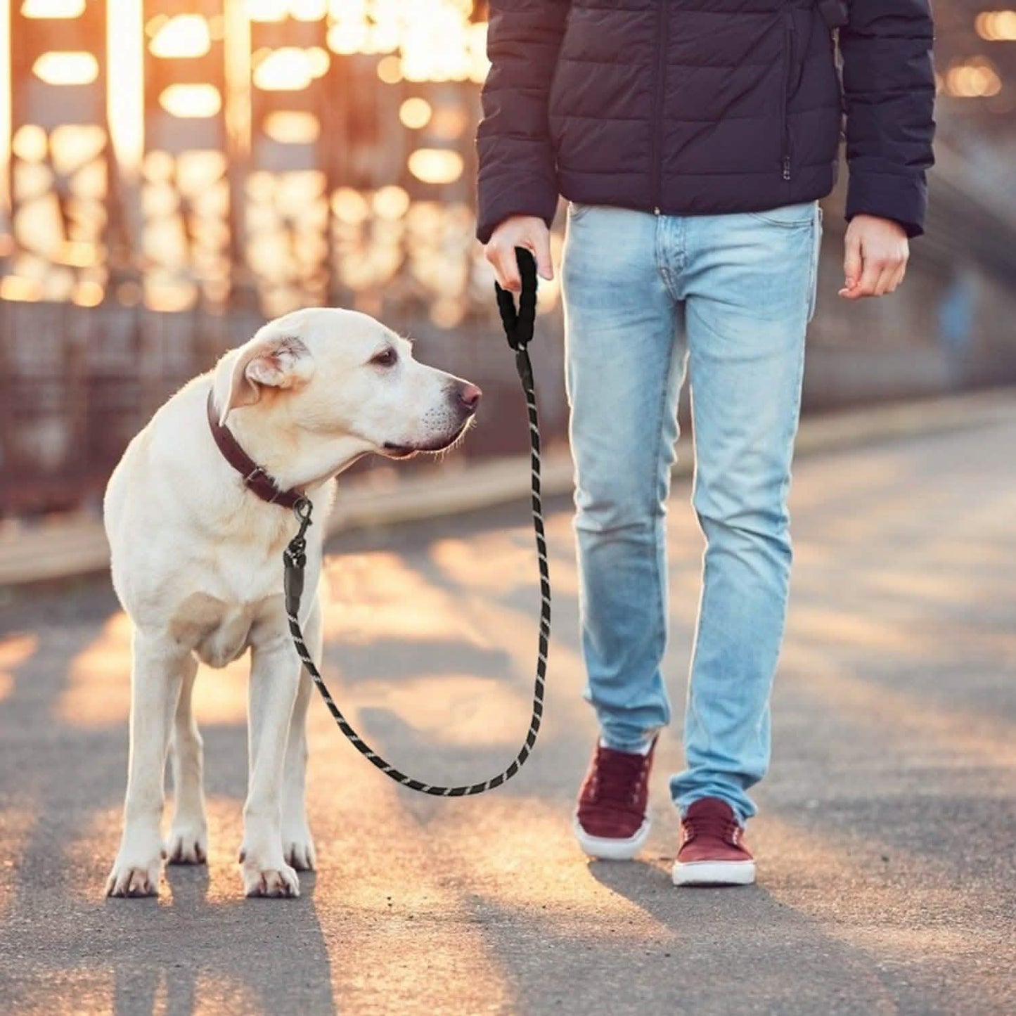 1,5 m Hundeleine mit Schaumstoffgriff