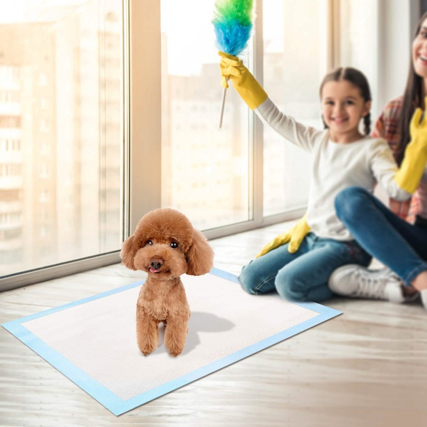 50 Stück: Hundetrainingsunterlagen