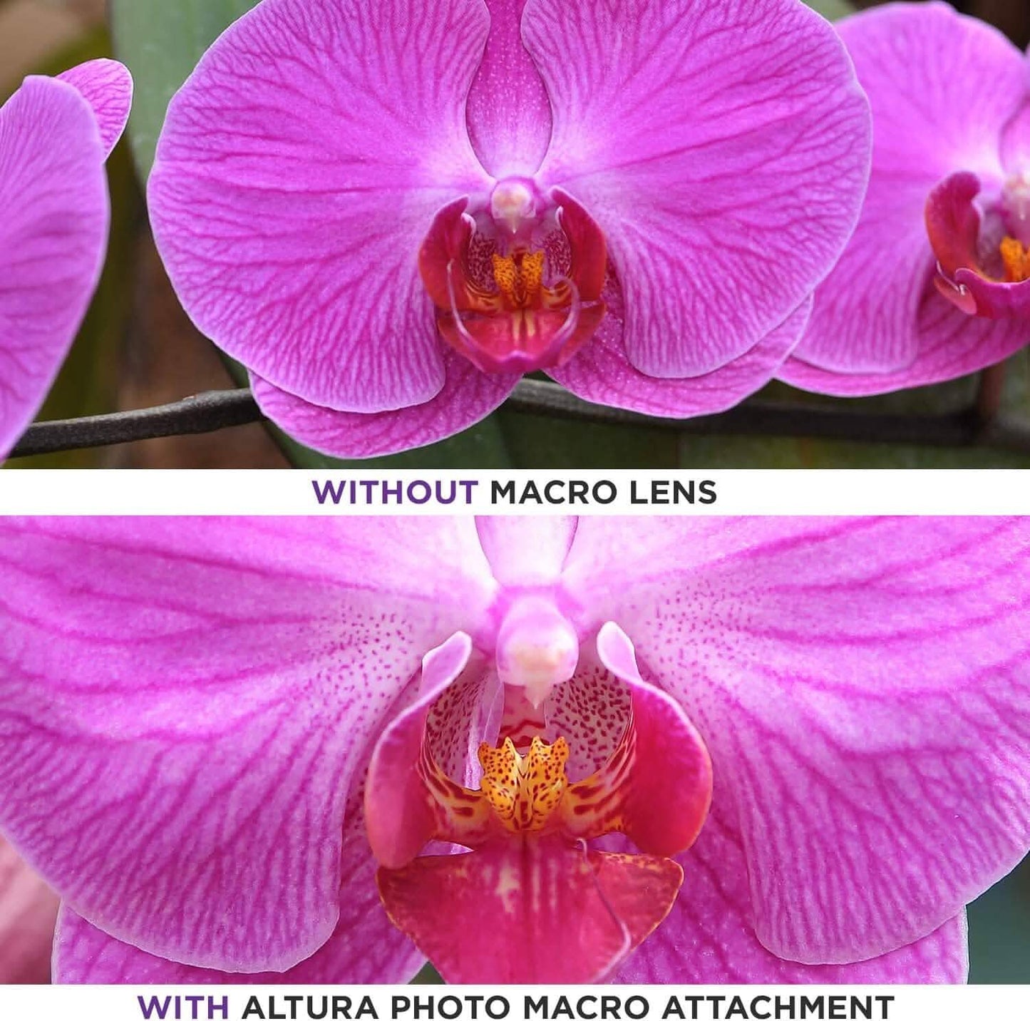 52MM 0.43x Altura Photo Professionelles HD Weitwinkelobjektiv (mit Makro-Anteil) für Nikon (Generalüberholt)