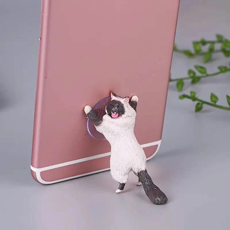 6er-Pack: Tragbarer universeller niedlicher Katzen-Handyhalter