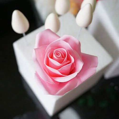 6-teilig: Backform Fondant Kuchen Zuckerblume Rose Keks