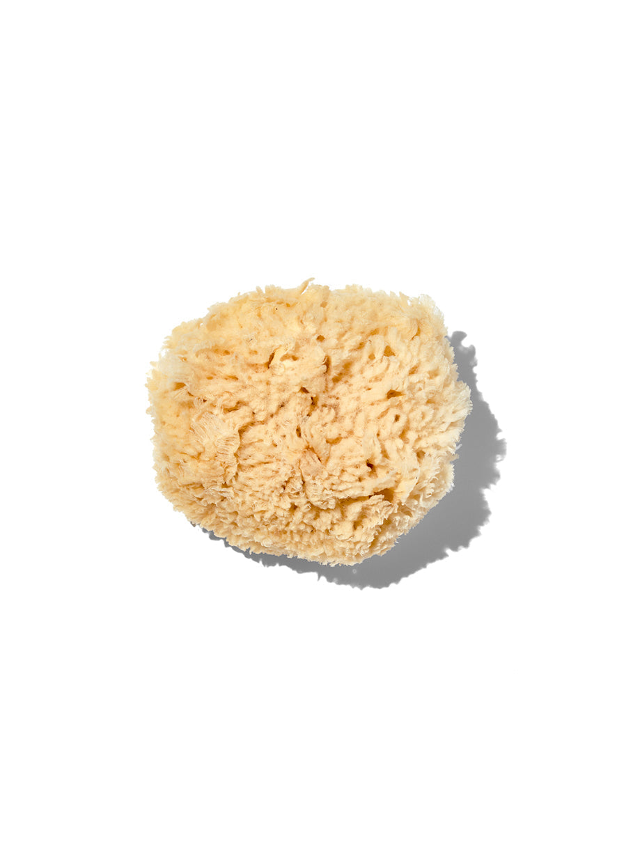 Natürlicher "Wool" 3-4" Meeresschwamm