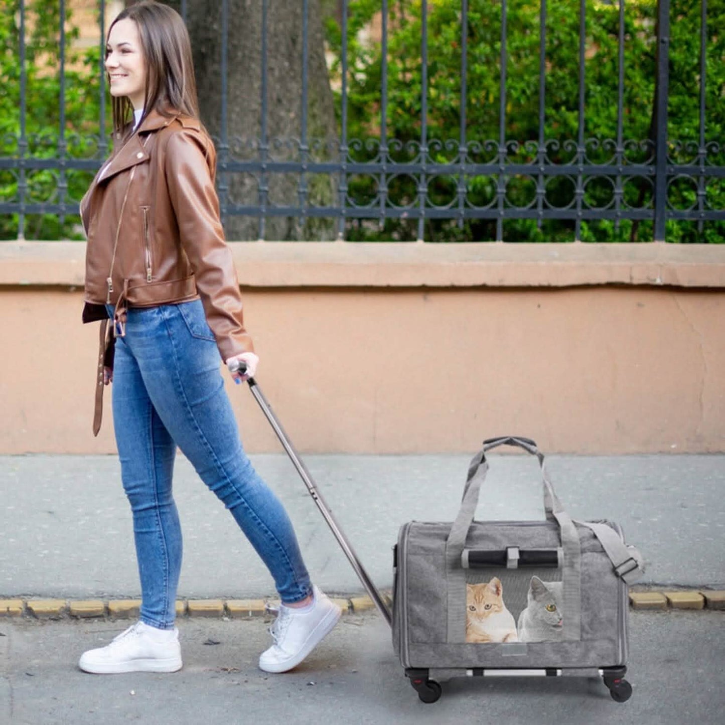 Fluggesellschaft-zugelassener rollbarer Haustiertransporter mit Teleskopgriff und Schultergurt