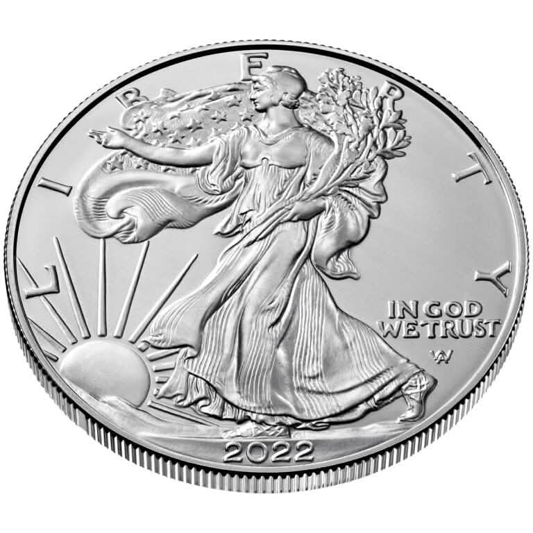 American Silver Eagle 1 oz Zufallsjahr