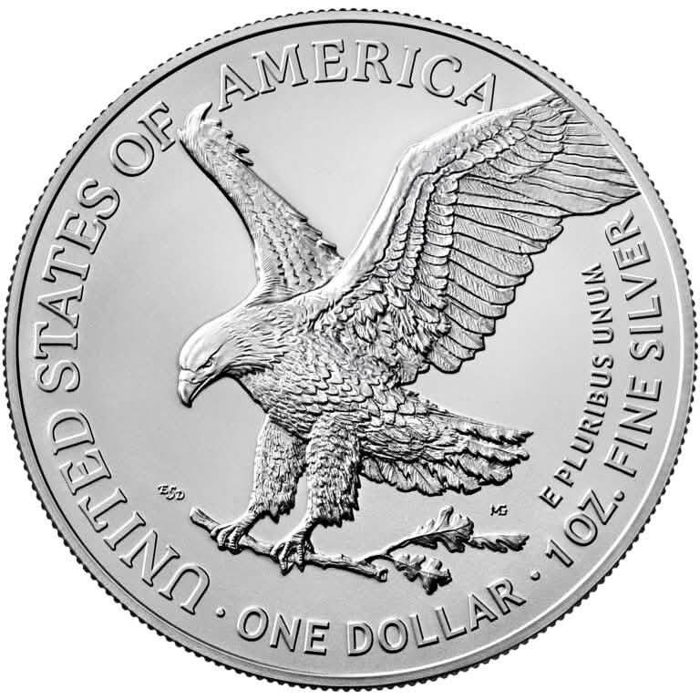 American Silver Eagle 1 oz Zufallsjahr