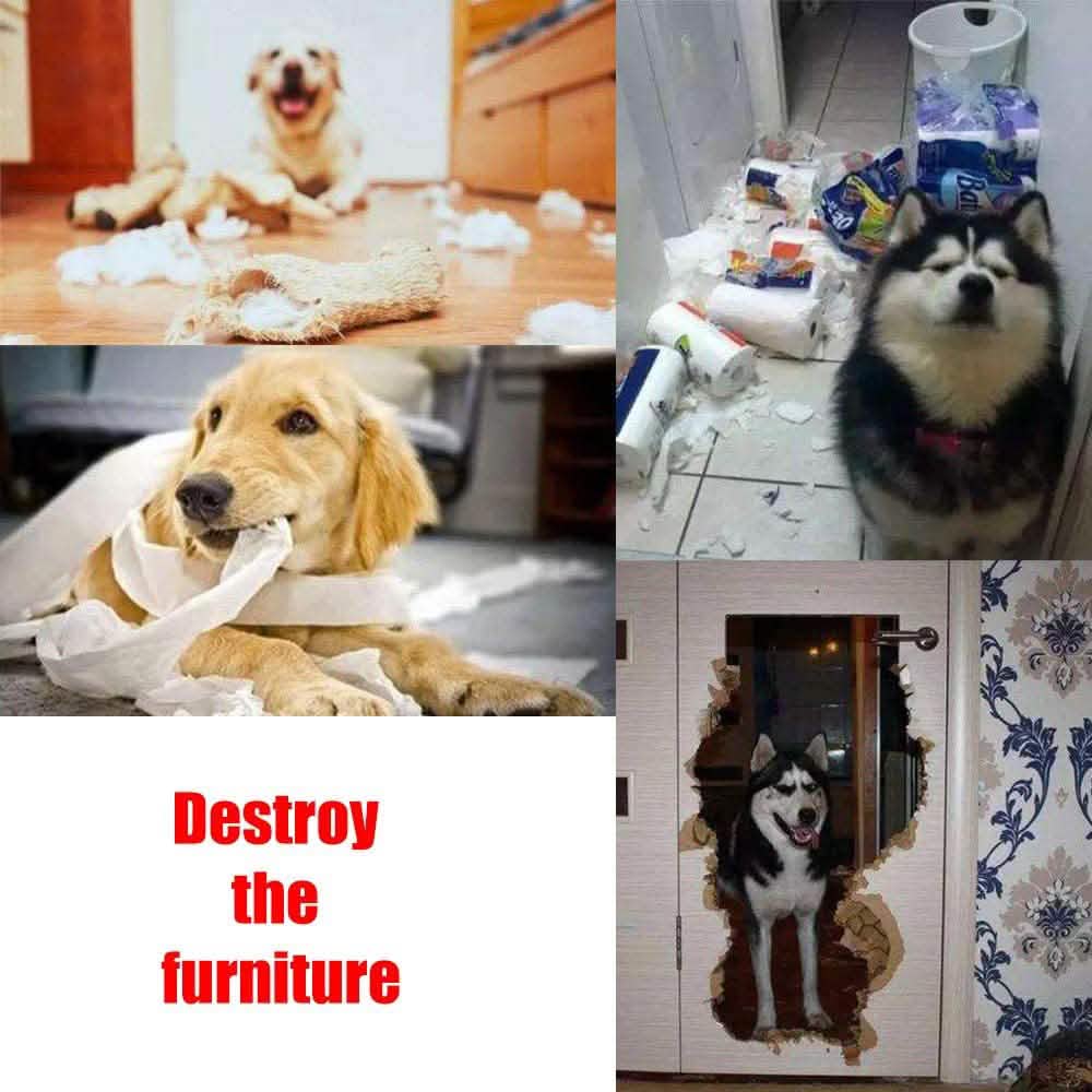 AWOOF Schnüffelmatte für Hunde